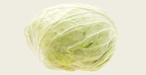 Nouveaux sur notre site internet