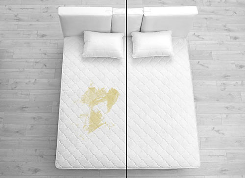 Nouveaux sur notre site internet