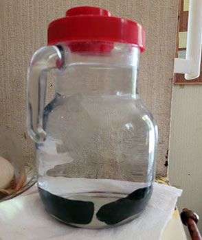 Charbon Binchotan Kishu