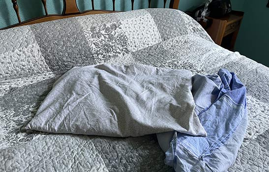 L'Oreiller épeautre de Ma VIe Eco