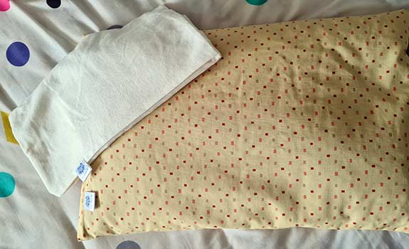 L'Oreiller Epeautre de Ma Vie Eco