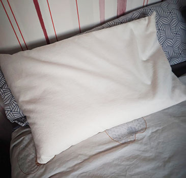 L'Oreiller Epeautre de Ma Vie Eco