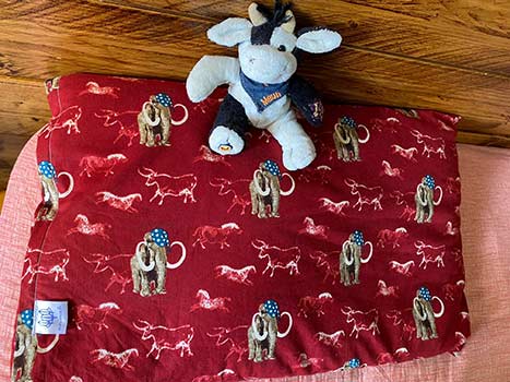 L'oreiller Millet par Ma Vie Eco