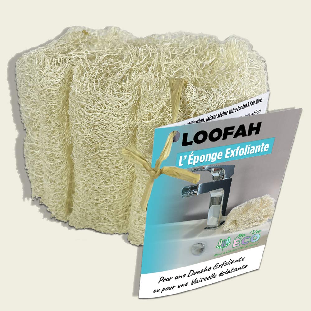 Eponge-Loofah_1