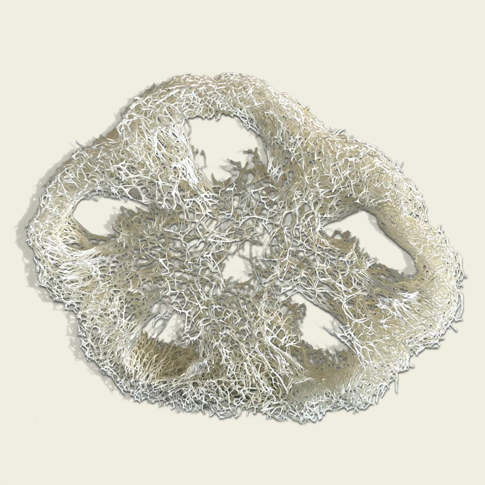 Tranche-de-Loofah_2