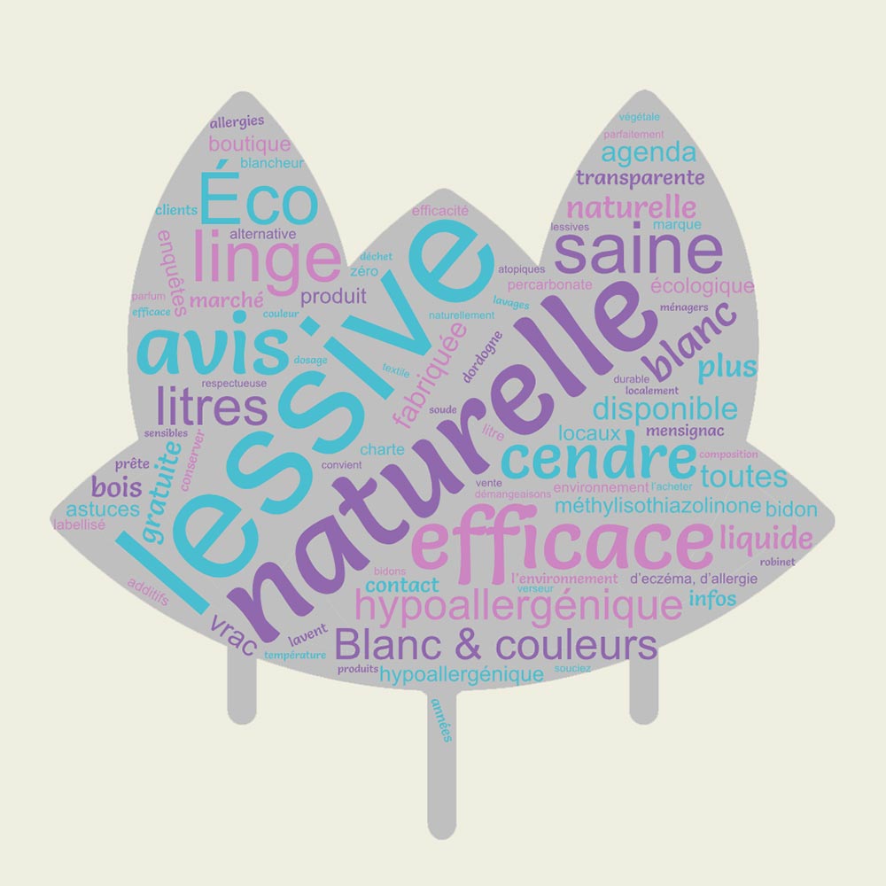 lessive-de-cendre_40