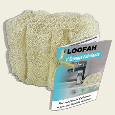 Eponge Loofah