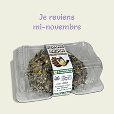 Pommes de Pin 