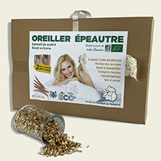 oreiller epeautre