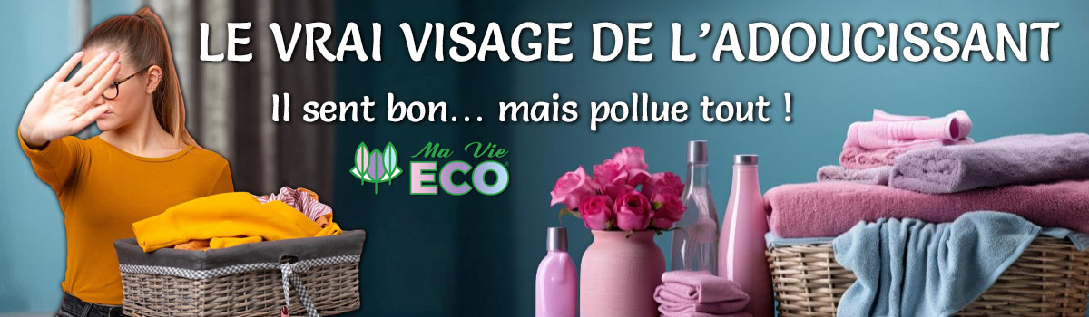 Les enquêtes