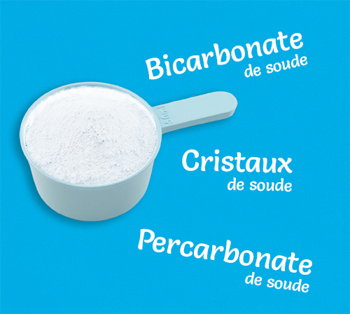 Quelle poudre utiliser ?