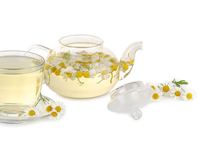 Infusion de pâquerette