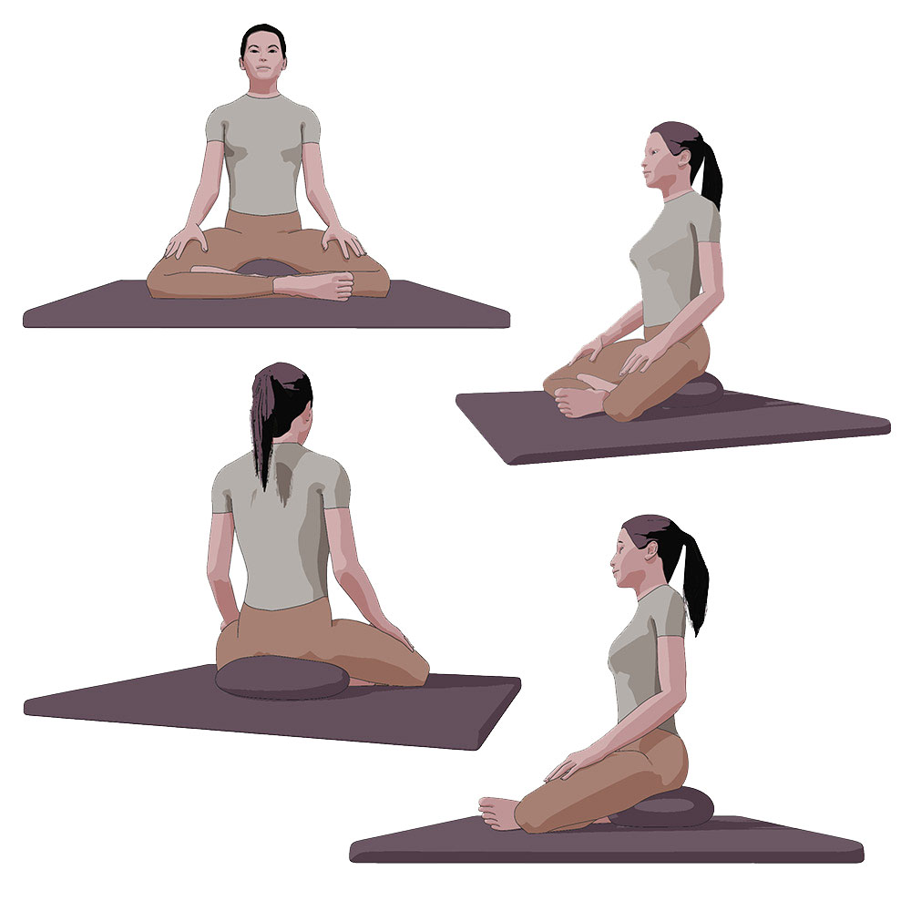 Mode d'Emploi du Zafu